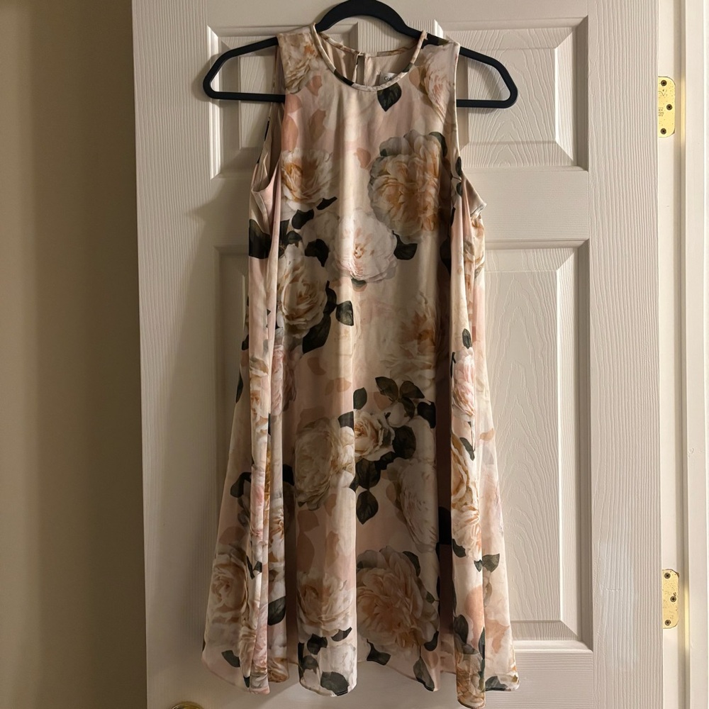 Women’s Calvin Klein Sleeveless Tank Trapeze  Dress Pink Roses Coquette Size 6